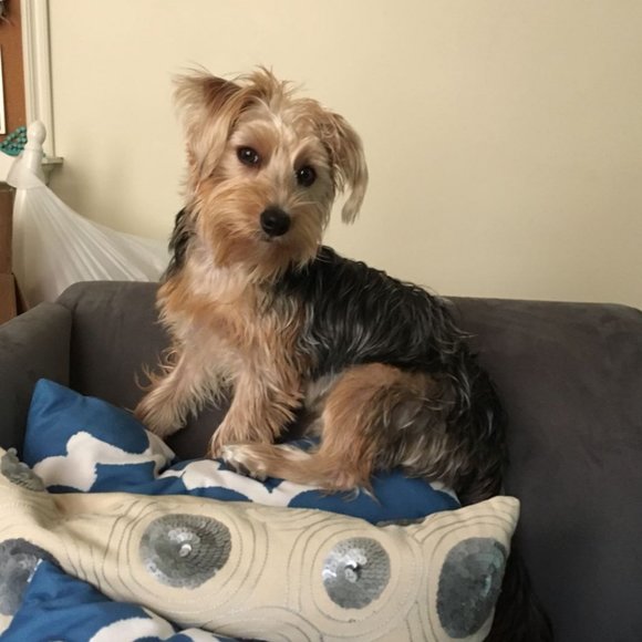 Meet your Posher, Michelle - Picture 13 of 16